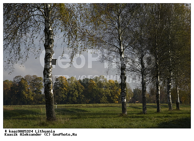 �����, �������, ������, ���, ������, �������, �����, ������, ��������