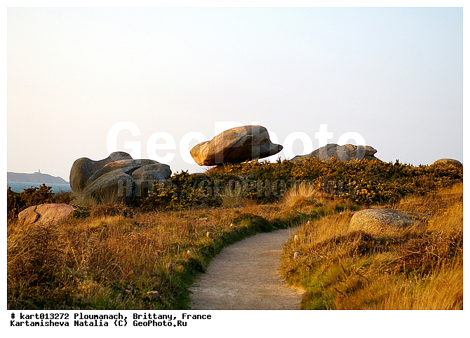 ����� �������� �������, �������, ��������, �������, ������, �����