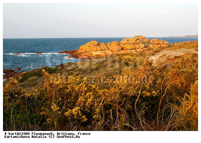 ����� �������� �������, �������, ��������, �������, ������, �����, ����