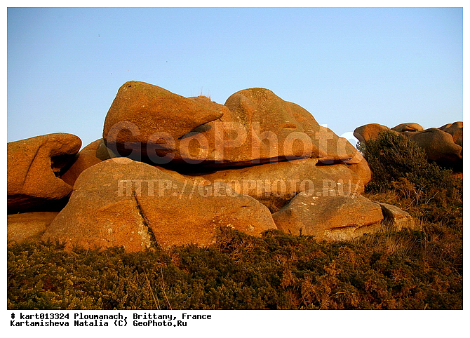 ����� �������� �������, �������, ��������, �������, ������, �����