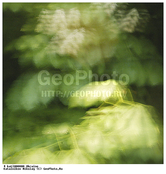 ���-��������� , ������, ������� �����, ���, �����, �������, ������