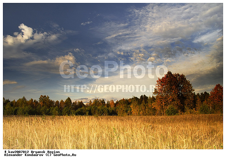 �������� �������, �������� �����, ��������, �������, ����� ����, �����, ��������, ���, ������, �������, �����, ����, �������, ������������� ������