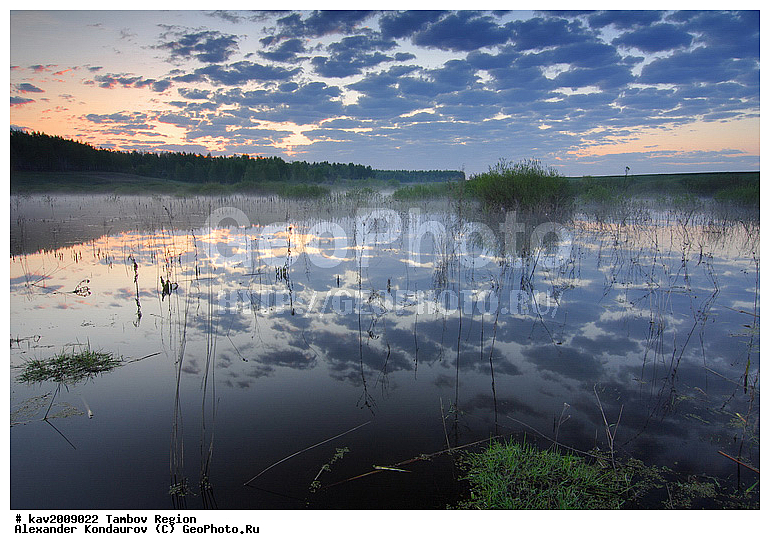 ���������� �����, ���������� �������, ����������, ������, �����, ����, ������, ������, ��������, ���, ������, ���������, �������, ������������� ������, ����