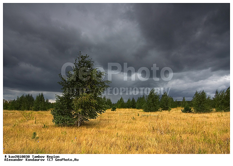 ���������� �����, ���������� �������, ����������, ������, �����, ������, �������� ������, ��������, ����, ��������� �����, ��������, ������, �������, ������������� ������, ����, ������ ����