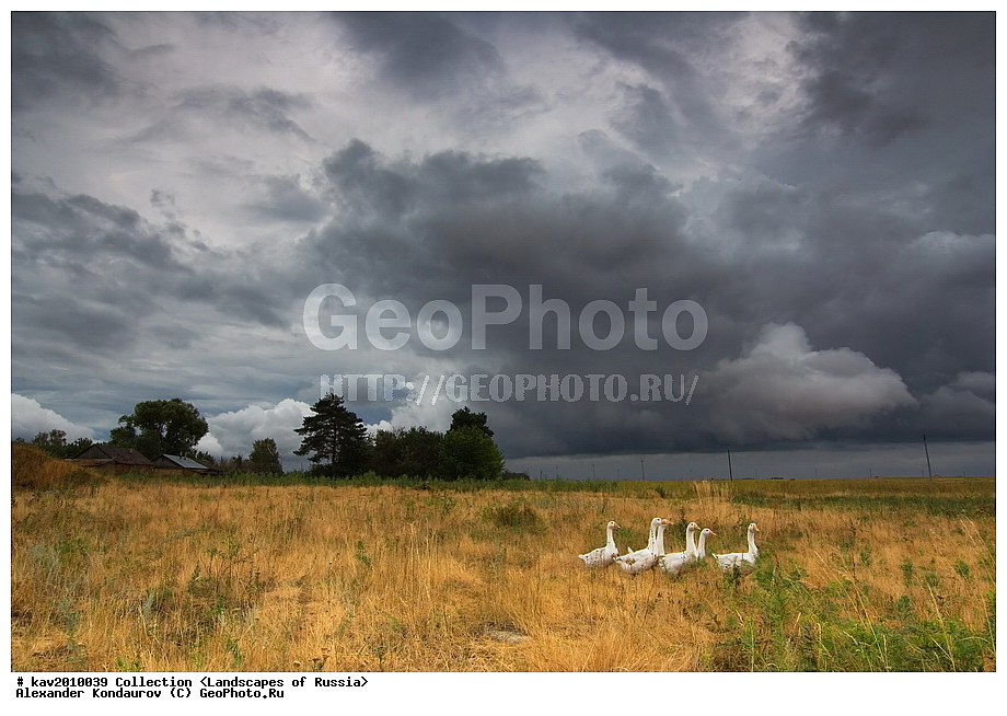 ���������� �������, �������, ����, ����, ������, �����, ����������� �����, �������� ������, ������������� ������, ��������, ����, ������, �����, ���������� ��������