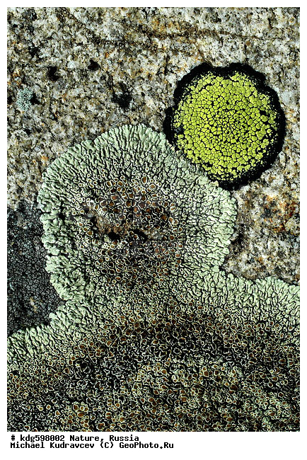 ���, ������, ����, ���, ����, ������, ��������, �����, ����, �������, ������, ��������, ���������, �������