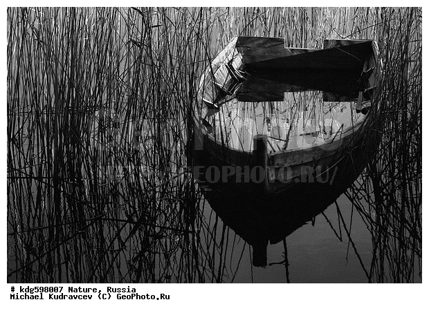 ���, ����, �������, �����������, �����, �����, ���������, ������, �������, ��, �����-�����