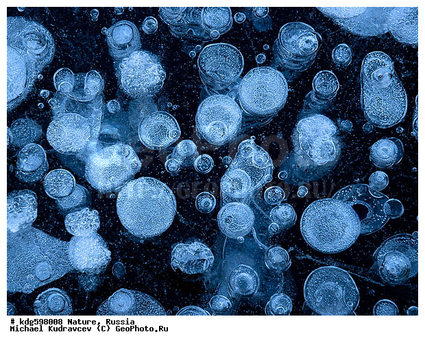 ���, �����, ����, ������, ��������� ������, ���������, ����, ���, ������, ������, �����, �������, ������