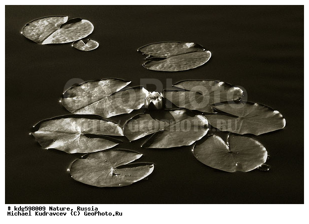 ���, ����, ����, ������, ������, �����, ����, ������, �����, ���������, �����, �������, ������, �����, ��, �����-�����