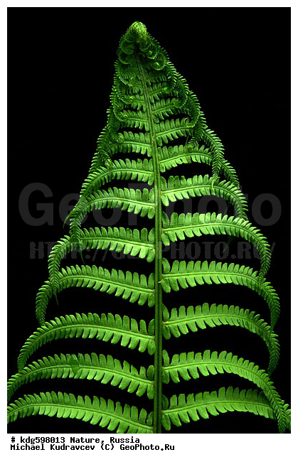 ���, �������, ���� ������, ������, ����, ����, �����, ������ ������, ����, ���������, ����������, ��������, �������, ��������, ������, ������, ������, �������, ������, ���������