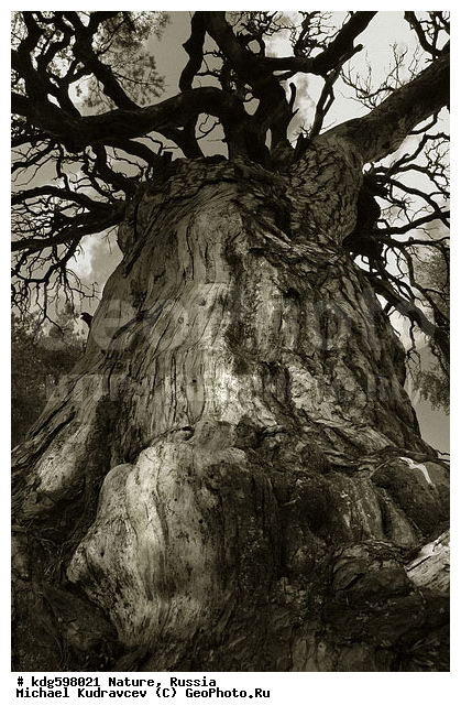 ���, ������, ���������, ��������� ������, �����, �����, �������, �����, ����, �����, ���������, �������, ��, �����-�����