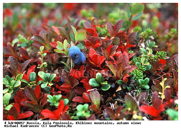 ���������� �������, ������, �������� ���������, ��������, �������, ������ ������, ����, ���� ������, ���������, �������� ����������, �������, ����������� ����, ����, ������, �����, ���������, ��������������, �����, ���������, ������, ������, �����, ������, �����, �����, �����