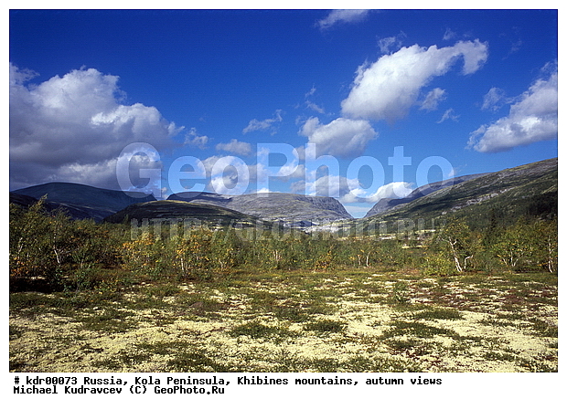 ���������� �������, ������, �������� ���������, ����, ���� ������, ������� ����������� ���, ����������, ���������, �������� ����������, ��������, ����������� ����, ����������, ����, ������, ������, ������, ���������, �����, ������, ������, �����, �����