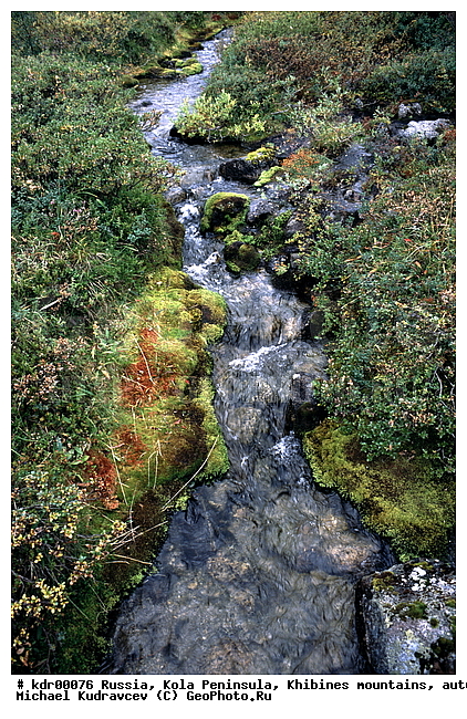 ���������� �������, ������, ����, ����, ������ �����, ����, ���� ������, �������� ����������, �����, �����, ����, ������, ������