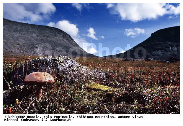 ���������� �������, ������, �������, ����� �������, ����, ������ ������, ����, ���� ������, ����, �����, ���������, �������� ����������, ����, ������, ������, ����, ���������, ������, �������, �����������, �����, ���������, ������, ������, ������, �����, �����