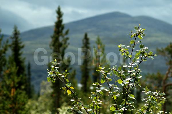 ���������, ���������� �������, ������, ����, ����, ���� ������, �����, �����, ���, ���������, �����, �������� ����������, ������, ����, ������