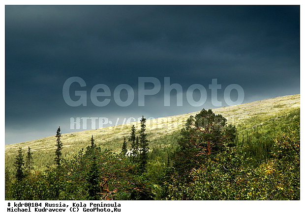 �������, ��������, ������, ����, �����, �����, ������