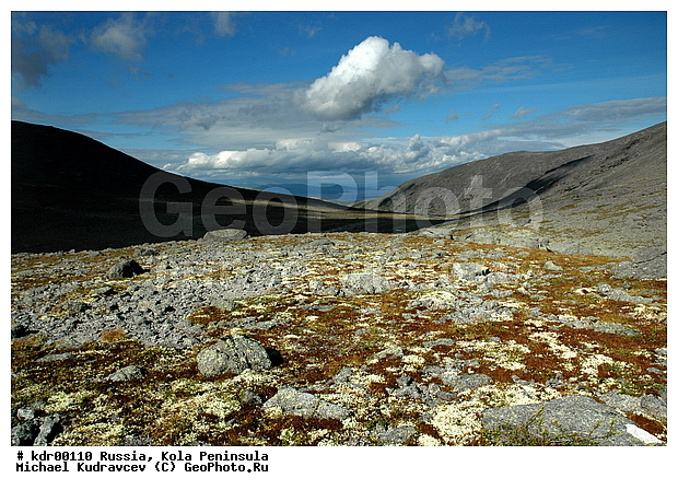 �������, ��������, ������, ����, �����, �����, ������