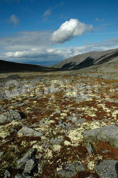 ���������� �������, ������, �������� ���������, ��������, ������ ������, ����, ���� ������, ���������, �������� ����������, ��������, ����������� ����, ���, ����, ������, ������, �����, ���������, ������, ������