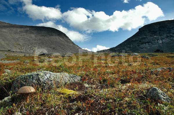 ���������� �������, ������, �������� ���������, ��������, ������ ������, ����, ���� ������, ����, ���������, �������� ����������, ��������, ����������� ����, ���, ����, ������, ������, �����, ���������, ������, ������