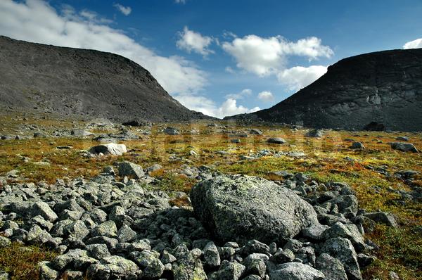 ���������� �������, ������, �������� ���������, ��������, ������ ������, ����, ���� ������, ���������, �����, �������� ����������, ��������, ����������� ����, ���, ����, ������, ������, �����, ���������, ��������, ������, ������