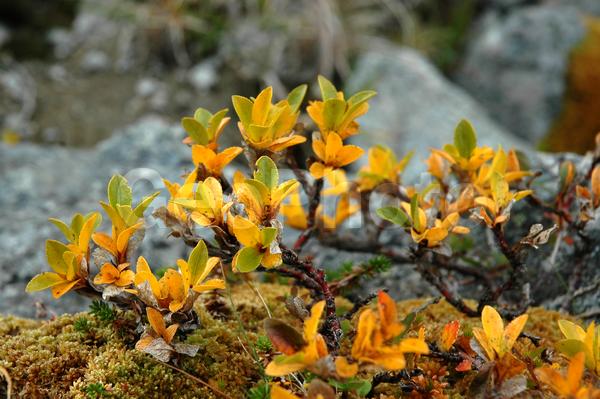 ���������� �������, ������, �������� ���������, ������ ������, ����, ���� ������, ������, ���������, �������� ����������, ��������, ����������� ����, �����, ���������, ��������, ������, �����, ������, �����