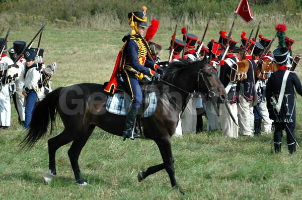 ��������, ������������� �����, �����, �����, �������, �����, ������-������������ �������������, ������-������������, �����, ������, ������������, ����������, ���������, �����, ����, ������, ������, ������, �������������, �������, �������������, �������, �������, ��������, �������, ������������, ��������, ���������, �����������, ���, ��������, ��������, �������������, �������������, �����, �����, XYZ, ���������, Equidae, �������� ������, Equus ferus caballus