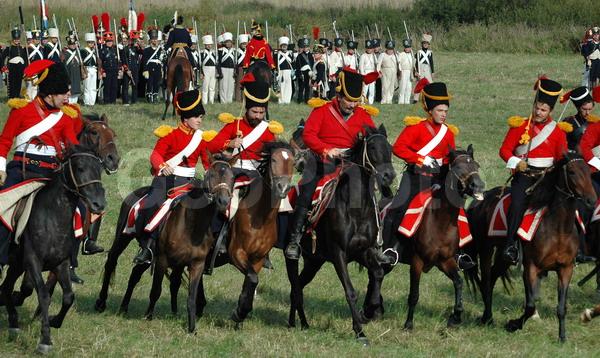 ��������, ������������� �����, �����, �����, �������, �����, ������-������������ �������������, ������-������������, �����, ������, ������������, ���������, �����, ������, �����, ����, ������, �������, ������, ������, �������������, �������, �������������, �������, �������, ��������, �������, ������������, ��������, ���������, �����������, ���, ��������, ��������, �������������, �������������, �����, �����, XYZ, ���������, Equidae, �������� ������, Equus ferus caballus