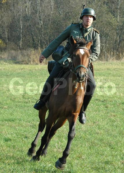 1941, ��������, ���, ������� ������������� �����, �������, �����, ������-������������ �������������, ������-������������, �����, ����������, ���������, ����, ������, �����, ��������, �����, �������������, �������, ������, ��������, ��������, ���������, ��������, ��������, �������������, �������������, �����, �����, XYZ, ���������, Equidae, �������� ������, Equus ferus caballus