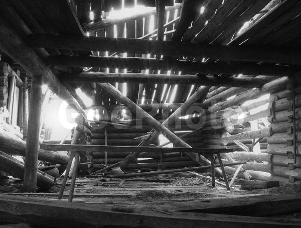 B W, ������������� �������, ���������, ����������, ������, ������� �����, ������, ������, �������, ���, �������, ������������, ����, ���������, �����������, ���������, ������, ����������, ����, �����, ����, ����, �����, �����, �����-�����, �����-�����