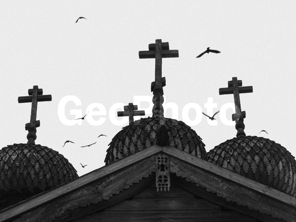 B W, ������������� �������, ������������� �������, ������������ �������, ���������, ����������, ��������� ������, ������, ������� �����, �����������, ����, ����, �����, ���������� ���������, �����, ������, �����, ������, ������, ����, ������, �����, �����������, �����, �����, �������, �����, ����, ����, �����, �����, �������, ����, ������������, �������, �����-�����, �����-�����, ������