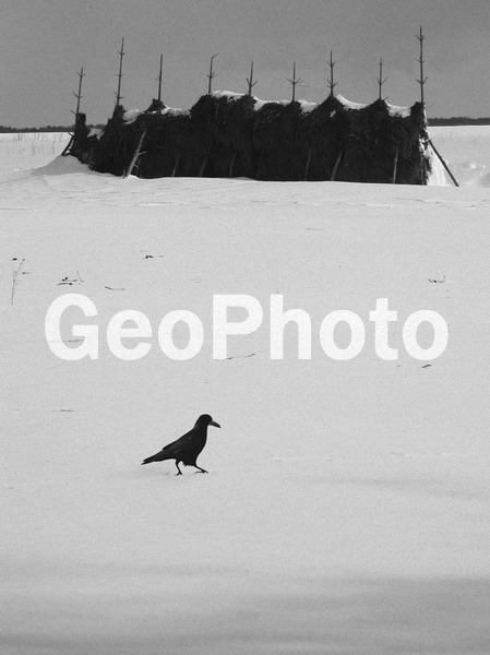 B W, ������������� �������, ���������, ����������, ��������, ������� �����, �����, �����������, ����, ������, �����, �����, ����, ����, ������, ����, ������, ����, �����, �����-�����, �����-�����