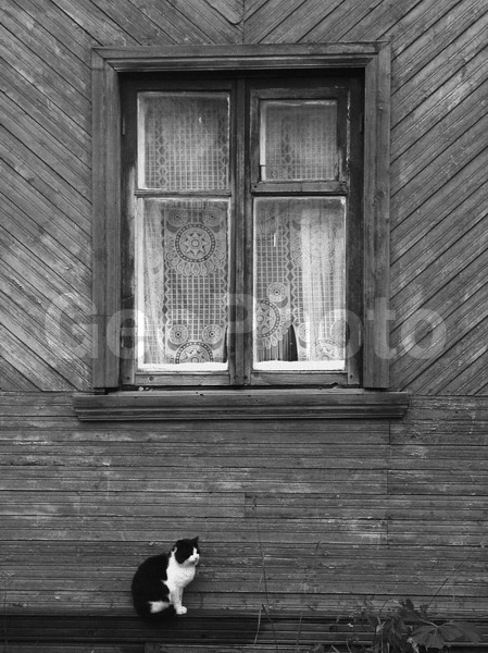 B W, ������������� �������, ���������, ����������, ������� �����, ���, �������� ��������, �����, ����, ���, �����, ����, ��������, ����, �����, ������, �����, �����-�����, �����-�����