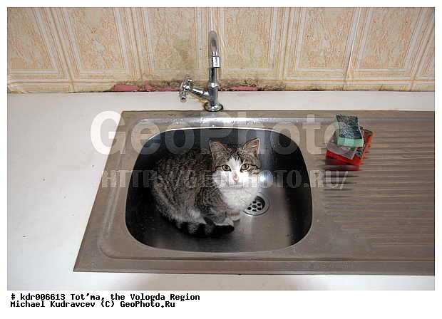 ���, �������� ��������, �������-������������ ���������, ���, �����, ����, �������������, �����, ��������, ���������, ��������, ������