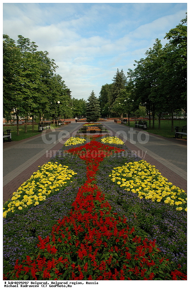 �����������, ��������� ������, ��������, ������������ �������, ������