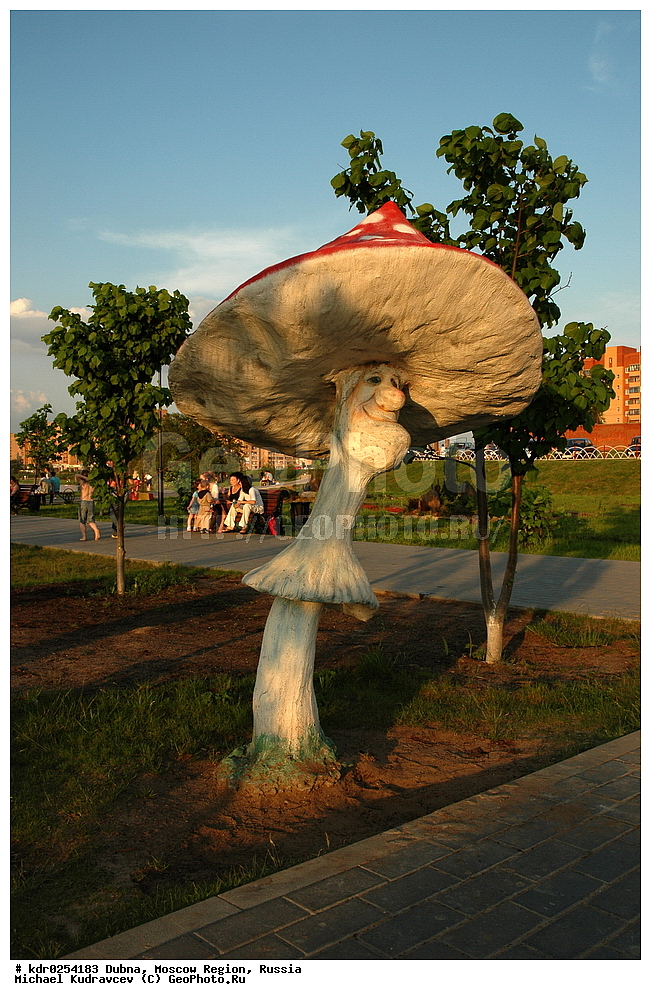 �����������, ��������� ������, �����, ���������� �������, ������