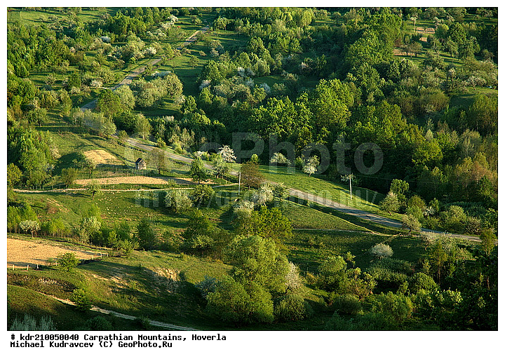 �������, �����, ���, ������ ���������