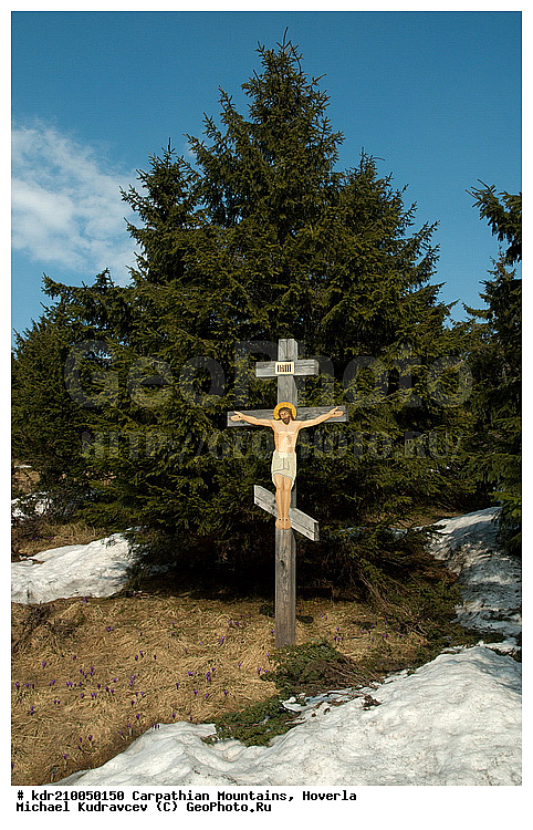 �������, �����, ���, ������ ���������