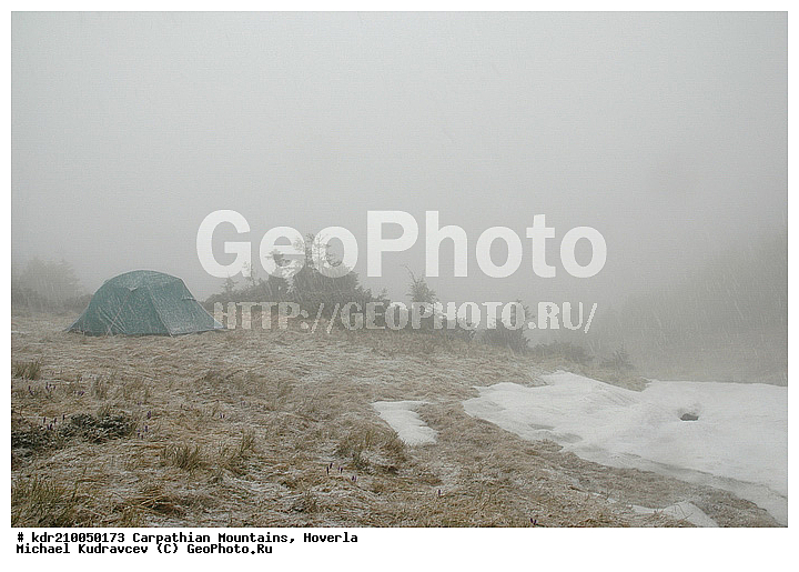 �������, �������, �������, ���������� �������, �����, �����, �������, ������ ������, ����, ���������, ���������, ���������, �����������, ��������, ���, ������, ������, ���������, �������, �����������, �����, ���������, ����, ��������, ��������� ��������, ������, �����, ������, �������, �����, ������ ���������, ������������, �������