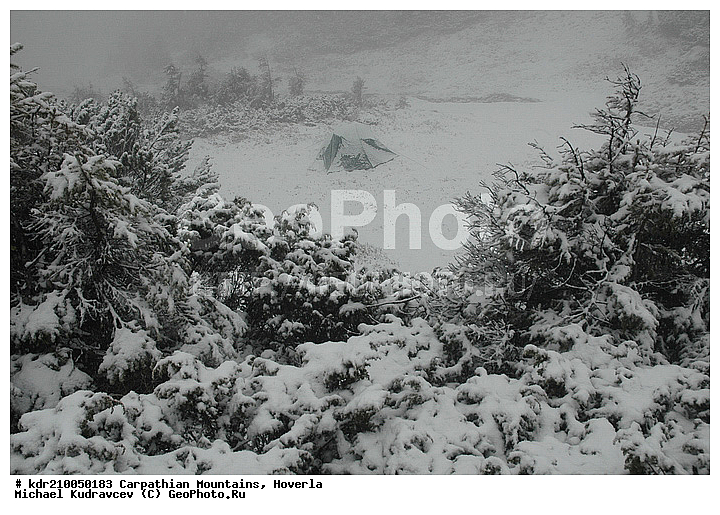 �������, �������, �������, ���������� �������, �����, �����, �������, ������ ������, ����, ���������, ���������, ���������, �����������, ��������, ���, ������, ������, ���������, �������, �����������, �����, ���������, ����, ��������, ��������� ��������, ������, ����, �����, ������, �������, �����, ������ ���������, ������������, �������