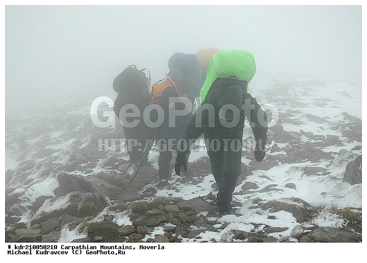 �������, �����, ���, ������ ���������