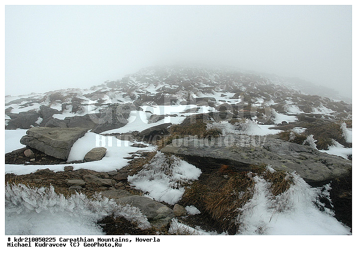 �������, �����, ���, ������ ���������