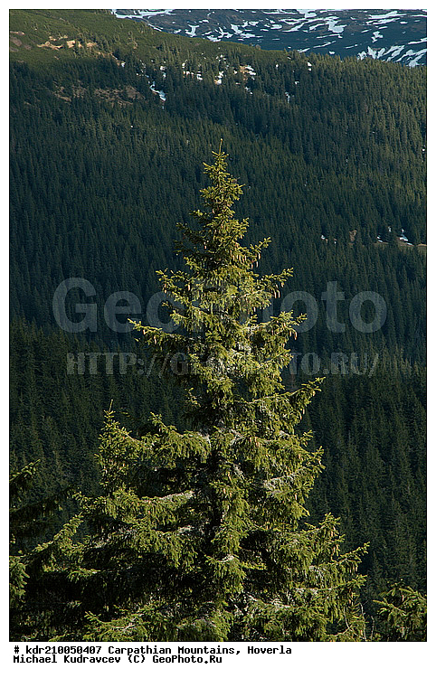 �������, �������, �������, ���������� �������, �������, �����, �����, �������, ������, ����, ������, ���������, ����, ������, ������ ���, ���, ����, ���, �����, �������, ������, �����, ������� ���, ����, ������ ���������, ����