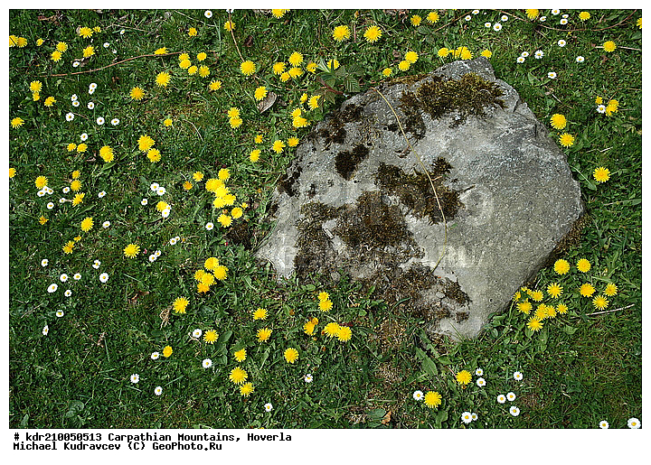 �������, �����, ���, ������ ���������, ������ ���������