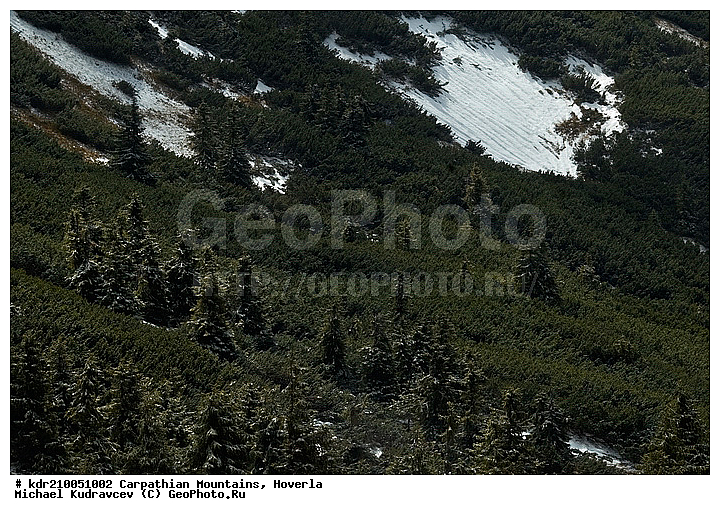 �������, �����, ���, ������ ���������