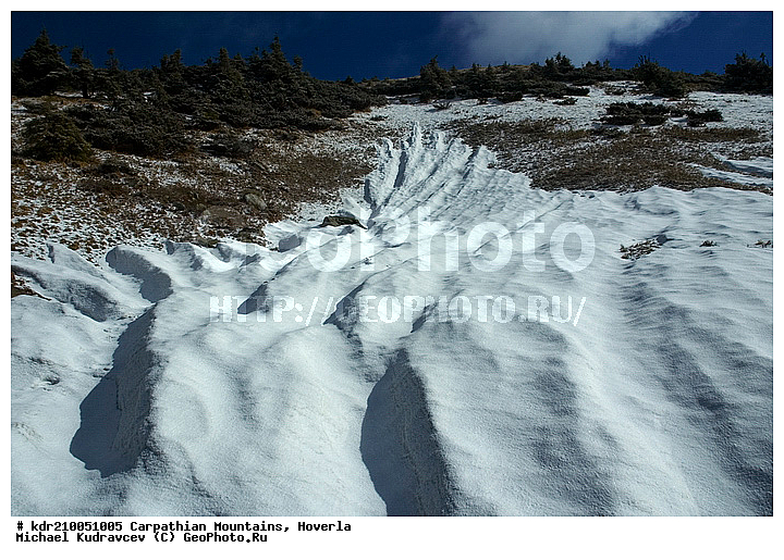 �������, �����, ���, ������ ���������