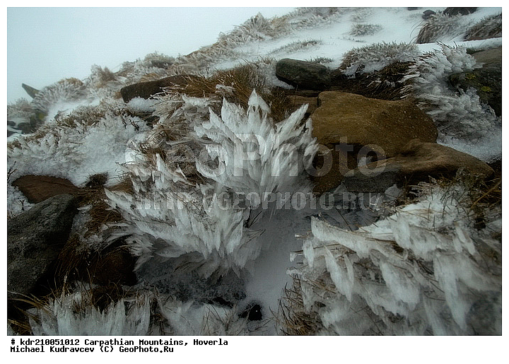 �������, �����, ���, ������ ���������