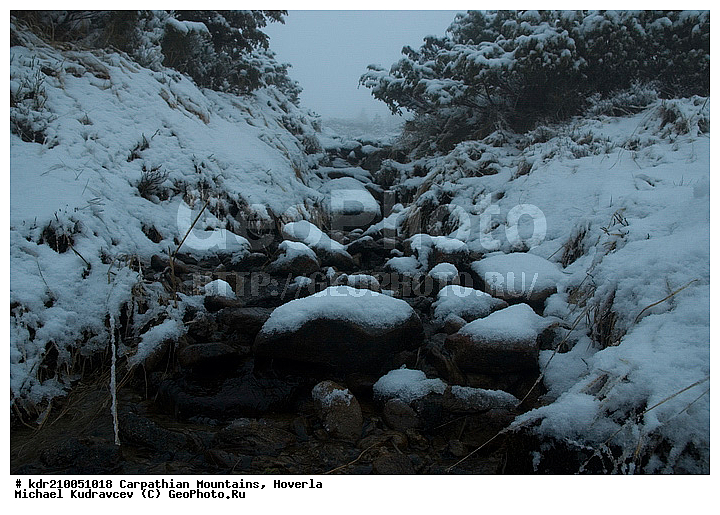 �������, �����, ���, ������ ���������