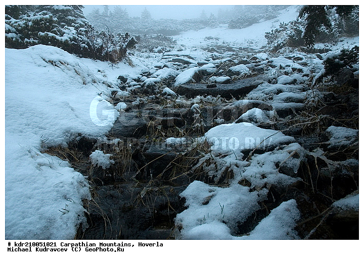 �������, �����, ���, ������ ���������