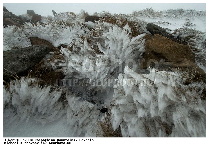 �������, �������, �������, �����, ���